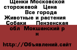Щенки Московской сторожевой › Цена ­ 35 000 - Все города Животные и растения » Собаки   . Пензенская обл.,Мокшанский р-н